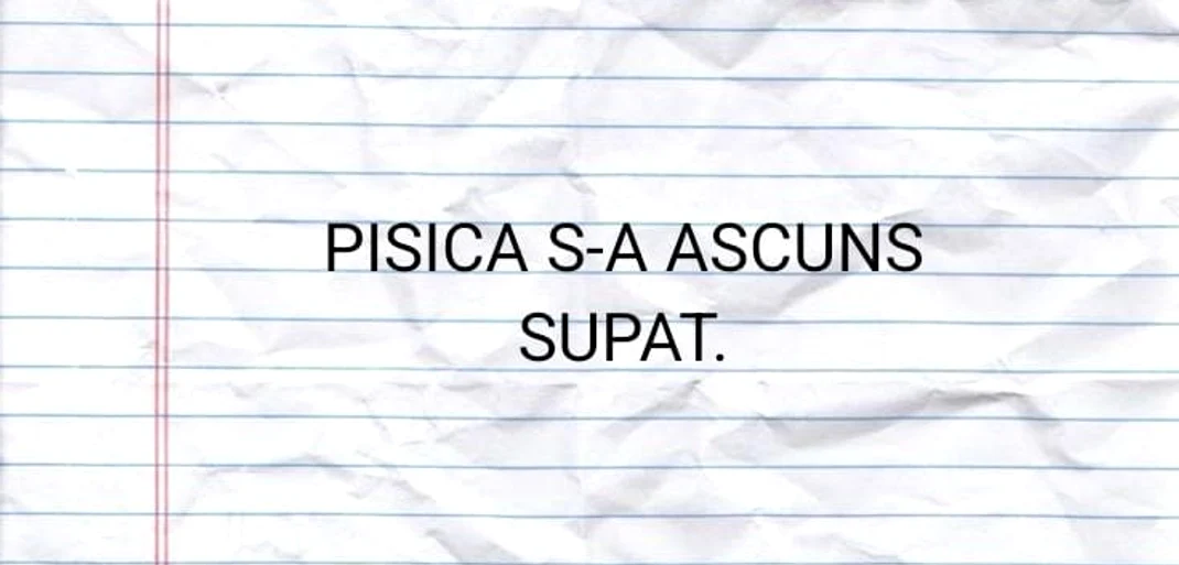  Cuvântul care a împărțit internetul în două.