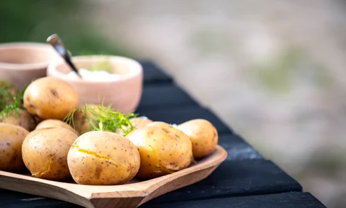 shutterstock 1542952712 jpg