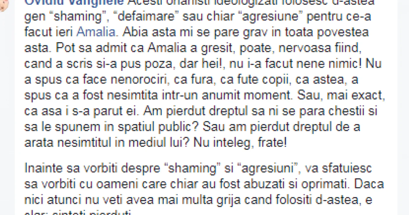 ovidiu vanghele captura facebook