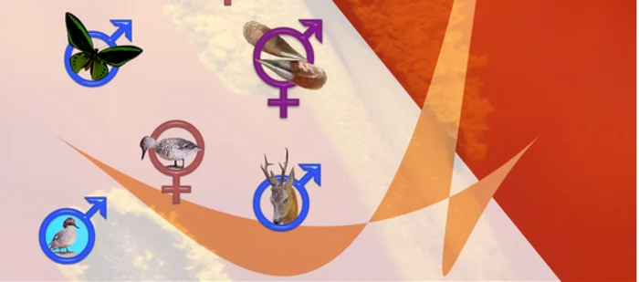 Mureşenii sunt aşteptaţi la Muzeul de Ştiinţele Naturii