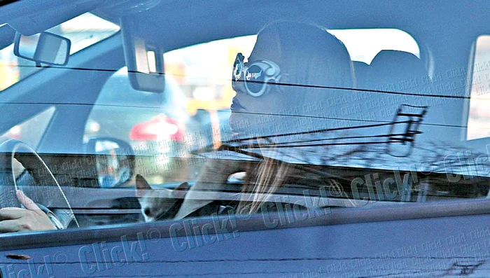 Când nu stă în braţele stăpânei, Chicco ocupă locul din dreapta-faţă al maşinii