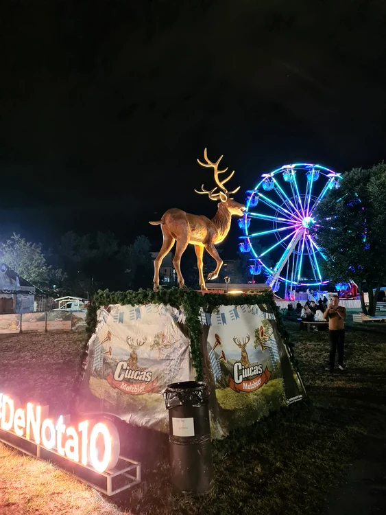 festival jpg