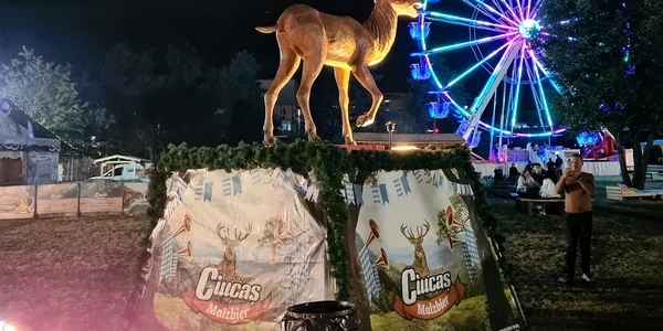 festival jpg