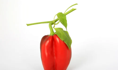 image png