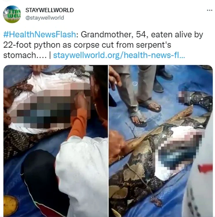Șarpele a fost tăiat de localnici. Foto: captură Twitter