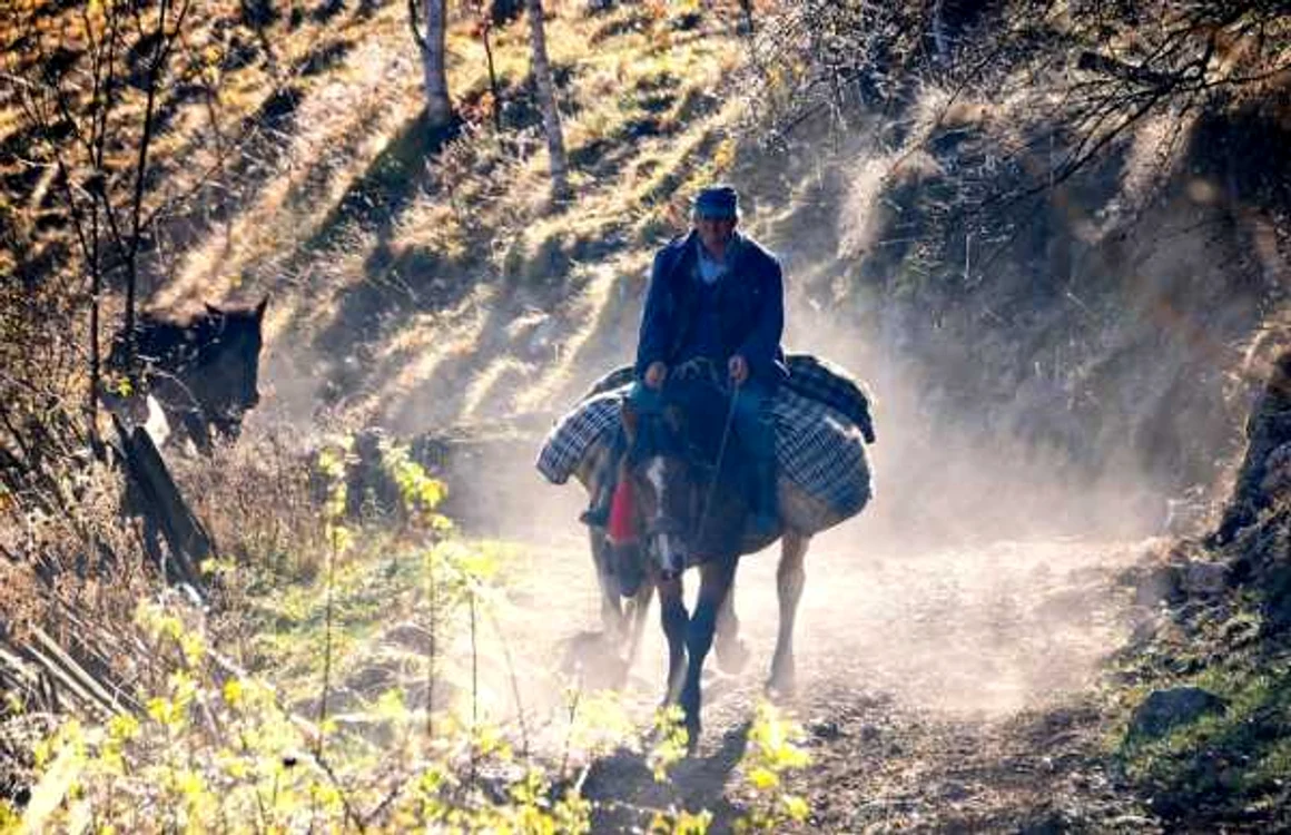 fundatura ponorului foto claudiu nelega