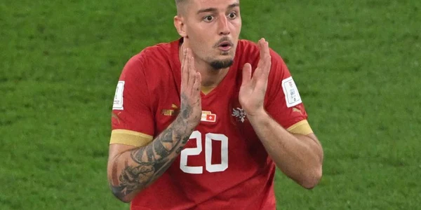 Milinkovic Savic X jpg
