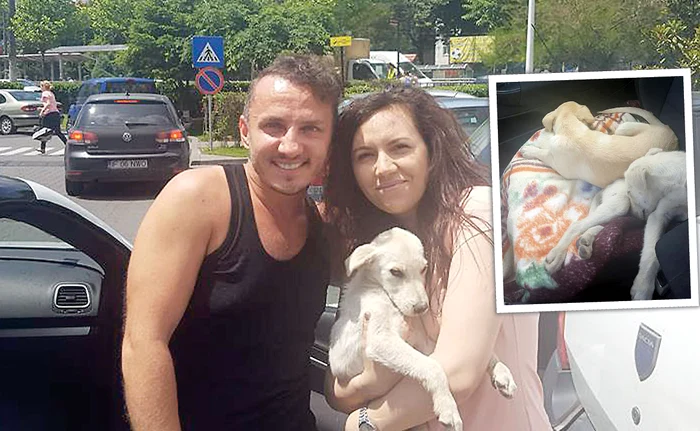 Trăistariu a ajuns până la Fetești, cu cățelul în brațe