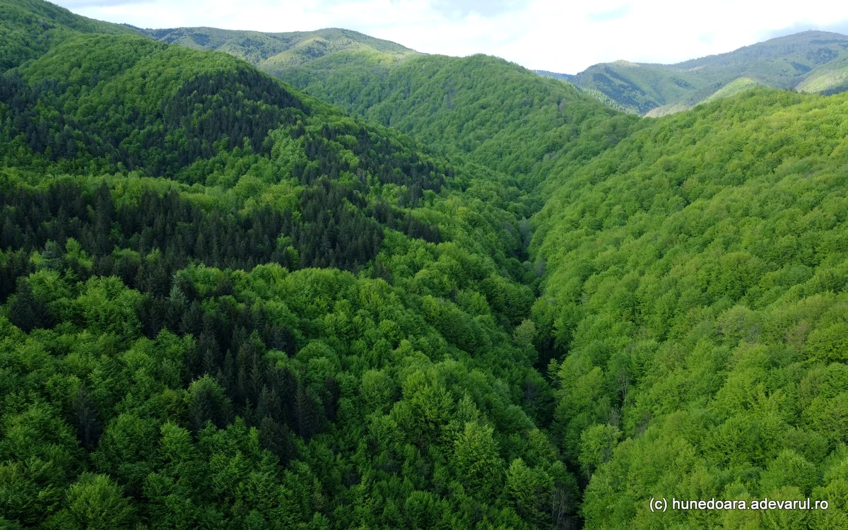 Valea Mică. Foto: Daniel Guță. ADEVĂRUL