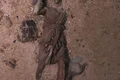 statuia artemis titanic  jpg
