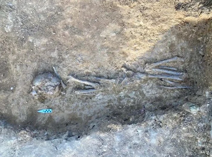 Scheletul descoperit de arheologi (foto: Muzeul Unirii)