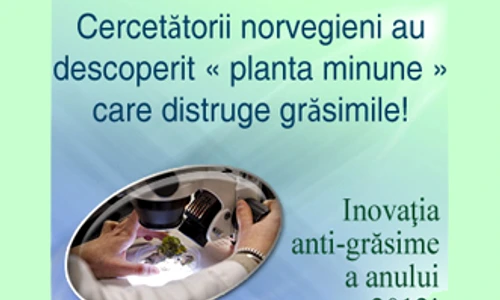 1 51761 original jpg jpeg