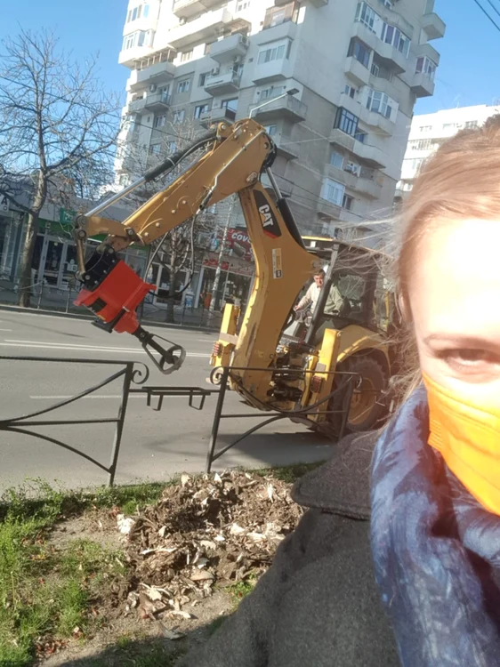 utilaj plantat