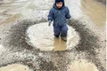 gropi suceava fb jpg