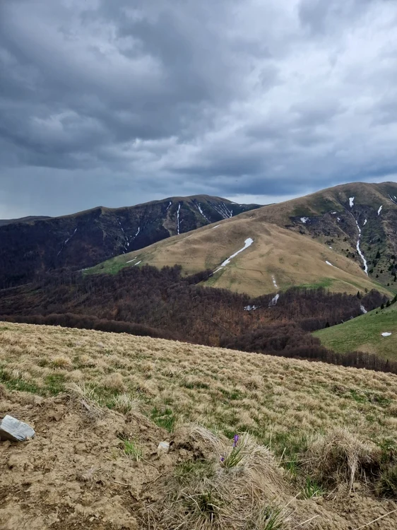Noul domeniu schiabil va fi amenajat în Munţii Baiului, cu vârfuri care ajung la altitudinea de peste 1800 de metri FOTO Facebook/ Primăria Valea Doftanei