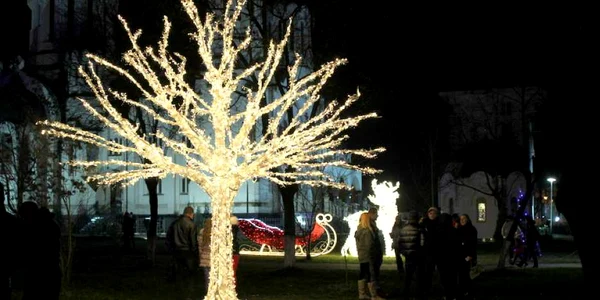 parcul tineretului