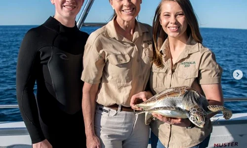 11 familie steve irwin png png