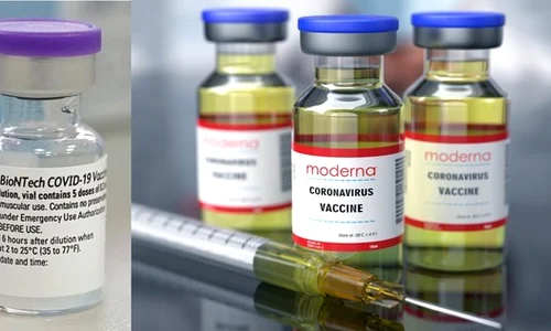 vaccinuri jpeg