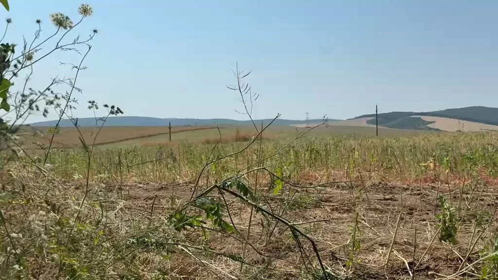 Primarul din Luncavița, despre drona cu explozibil găsită în lanul de rapiță: „Oamenii spun că a căzut când a fost incidentul de la Galați”