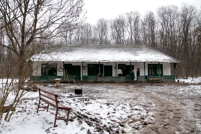 Ferma Vedetelor. Aşa arăta gospodăria înainte de venirea concurenţilor