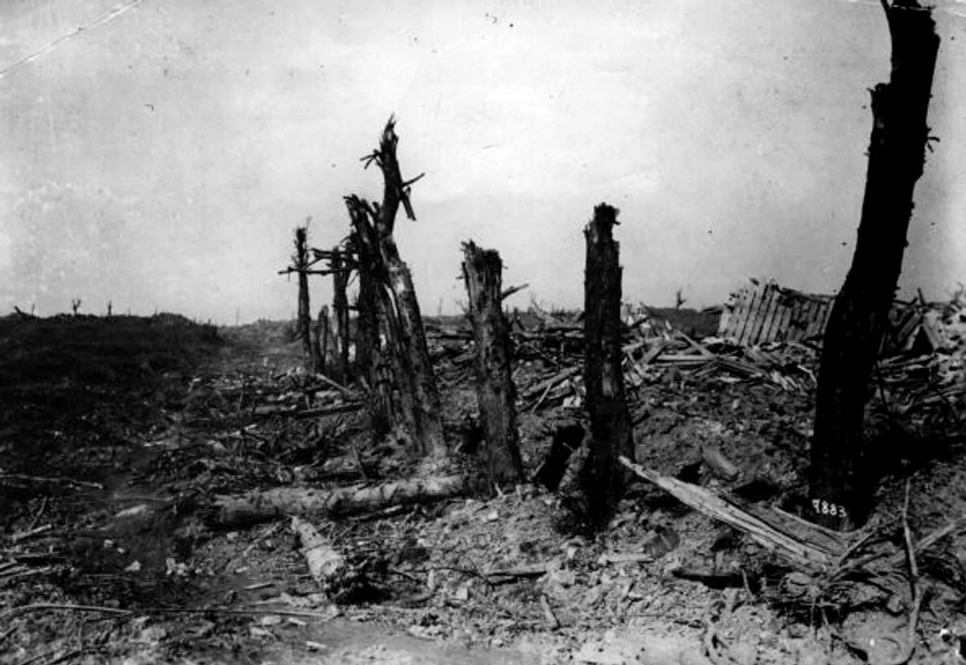 
    Bătălia de la Somme, cea mai sângeroasă ciocnire dintre două tabere beligerante din istorieFoto Getty  