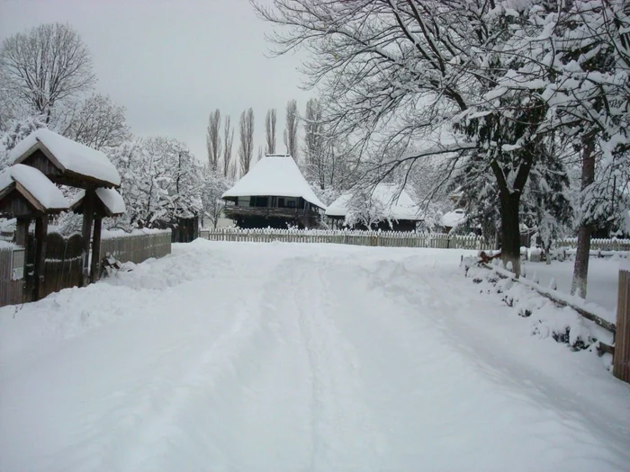 Muzeul Goleşti. Foto: CJ Argeş