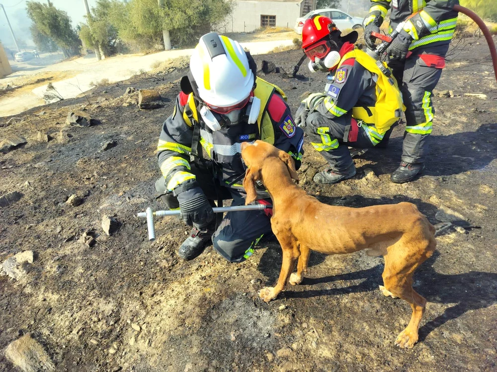 Imaginile postate de IGSU arată amploarea dezastrului din zona / Sursa foto: IGSU Facebook