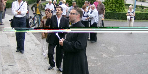 Preotul Pleşa a participat la mitinguri de susţinere pentru ÎPS Corneanu