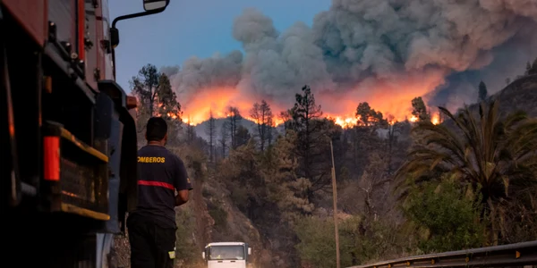Incendiu in La Palma FOTO Profimedia (2) jpg