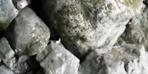 5edde96c5163ec42719e39de jpg