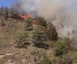 Incendiu de proporții pe Valea Oltului în comuna Racovița Vâlcea Foto ISU Vâlcea