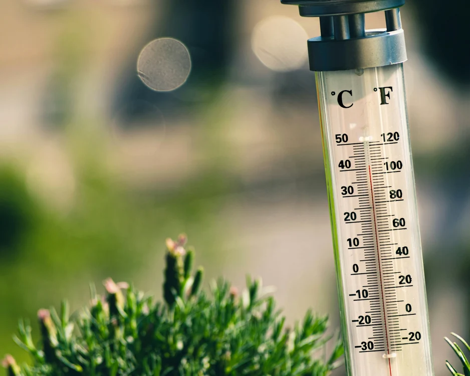 Temperaturile au atins maxime istorice.