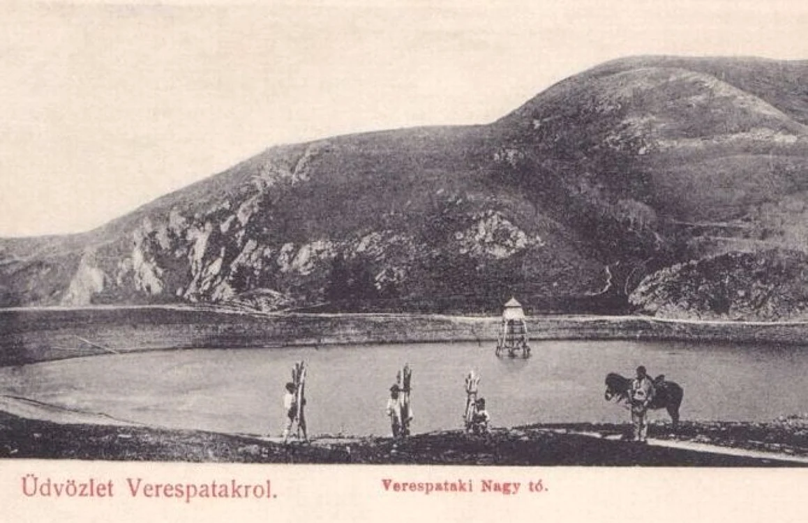 tauri rosia montana