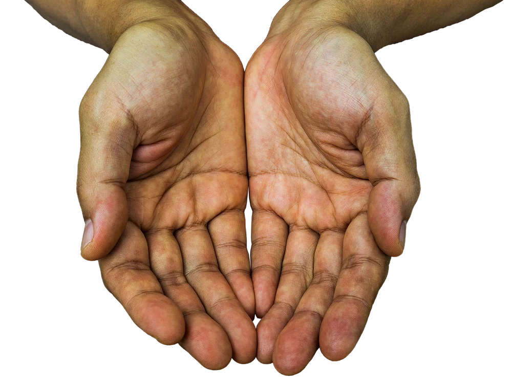 
    Medicul de familie poate să citească în palme bolile de care suferifoto: Pixabay  