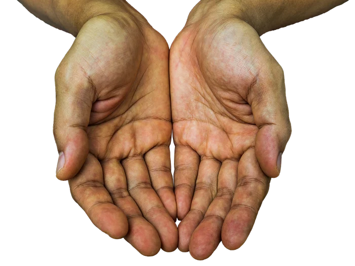 
    Medicul de familie poate să citească în palme bolile de care suferifoto: Pixabay  