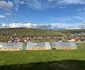 Și-au construit propria grădină. Foto: lovedeco