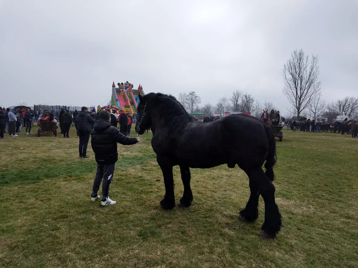 Încuratul cailor, sărbătoare care încă se păstrează al Brâncoveni FOTO: Cătălin Fircoiu