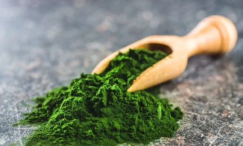 1 clorofila jpg jpeg