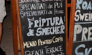 "Şme": cîmpuri semantice şi fantazări etimologice jpeg