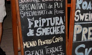 "Şme": cîmpuri semantice şi fantazări etimologice jpeg