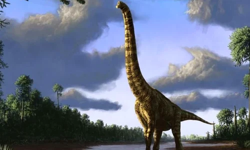 Dinozaurii se drogau cu ciuperci jpeg