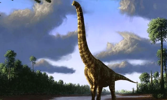 Dinozaurii se drogau cu ciuperci jpeg