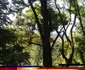parcul municipal 7