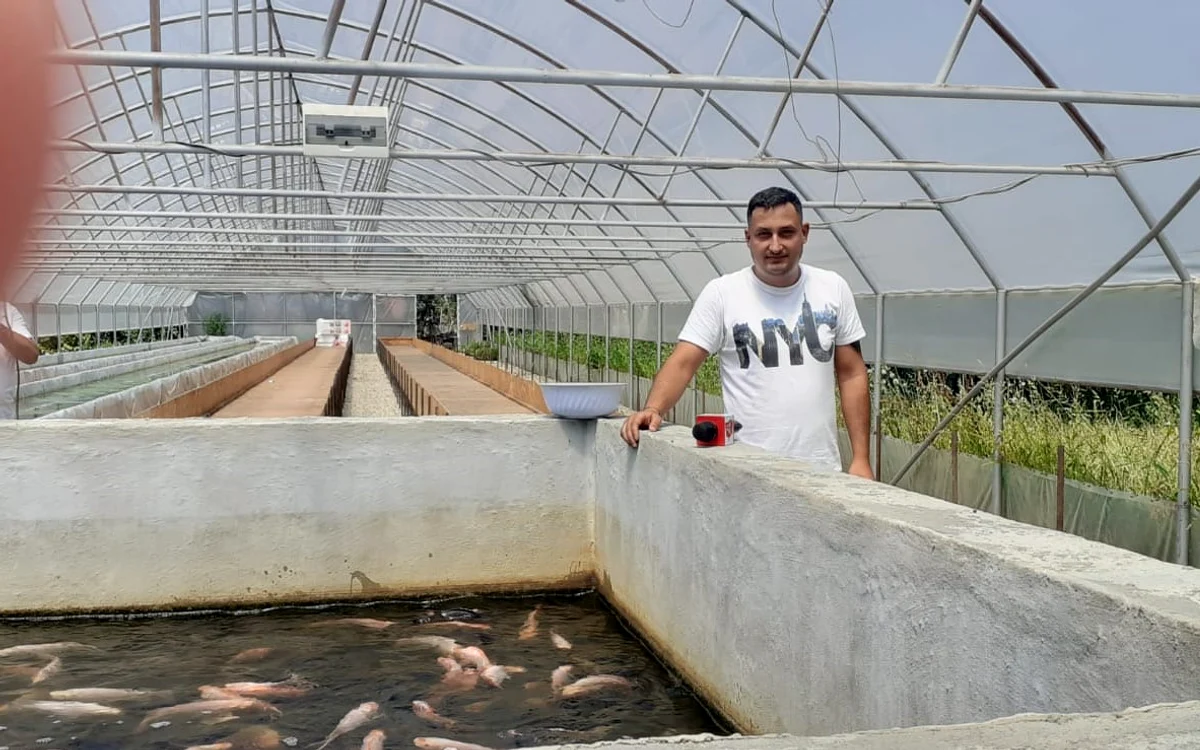Apa cu nutrienţi e pompată pe jgheaburi suspendate, în care vor fi cultivate legumele Foto: adevarul.ro
