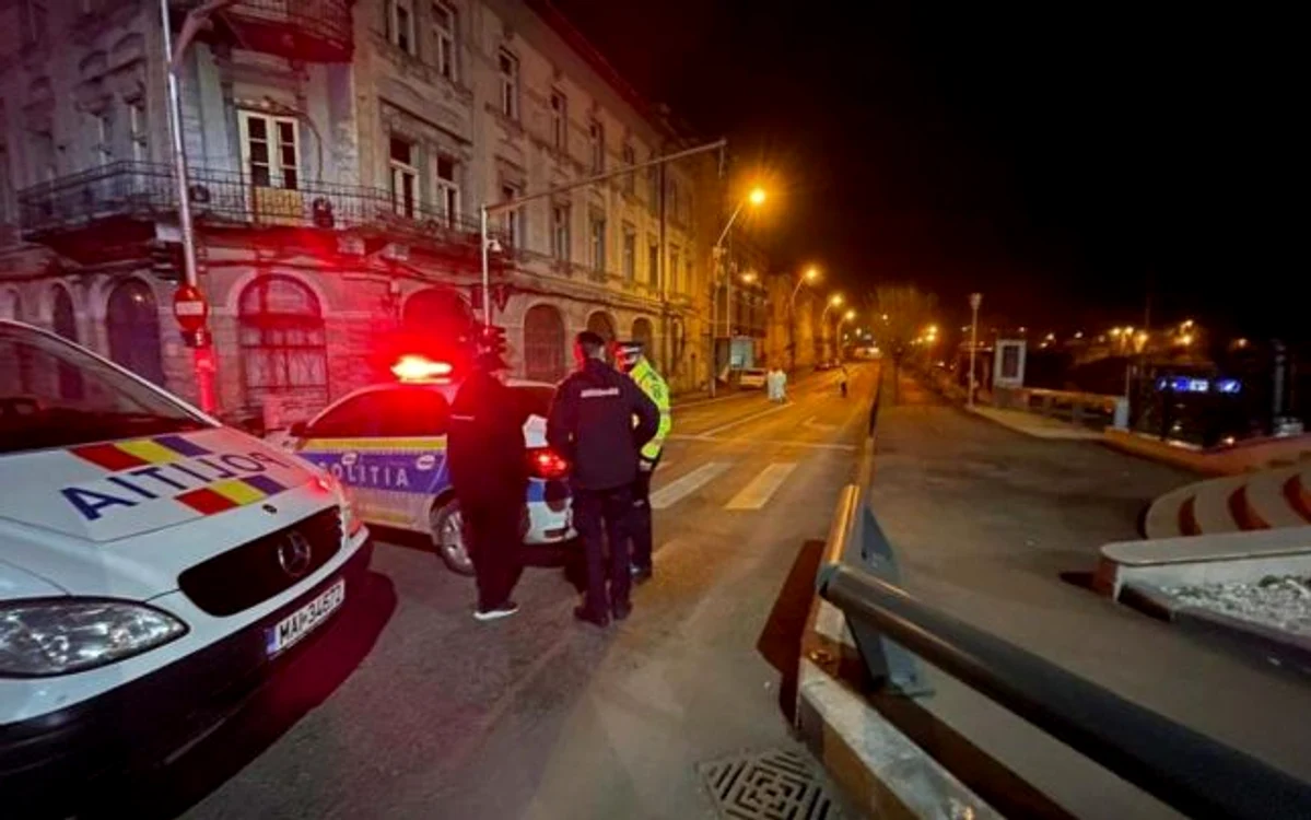 
    Crima s-a produs în apropierea Podului Dragalina din TimișoaraFoto: adevarul.ro  