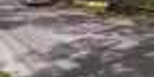 5ae1ef21df52022f75436383 jpg