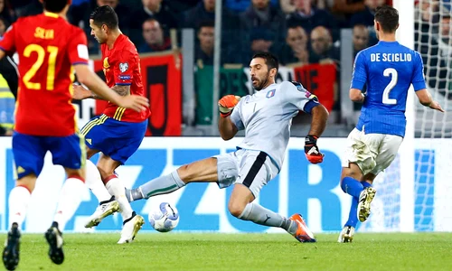 buffon jpeg