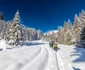 Retezatul Mic Foto Marius Turc jpg
