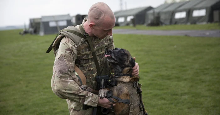 Soldații ucraineni au salvat sute de animele din calea bombardamentelor