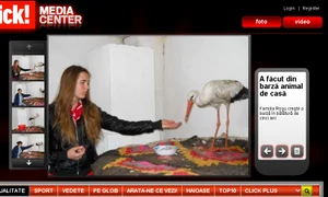 Barză jpeg